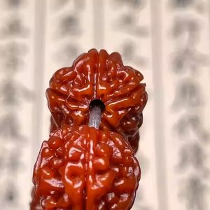 High-quality machine-polished jadeized diamond-shaped菩提子 bracelet or necklace with 5 sections and 108 beads, each 9-14mm. Buddhist prayer beads for the neck.